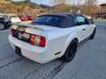 Ford Mustang Mustang Cabrio GT Aut. Weiß - thumbnail 6