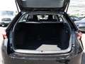 Skoda Octavia Combi 1.5 TSI Selection AHK LED SHZ Negro - thumbnail 10
