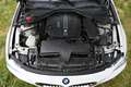 BMW 320 Serie 3 F31 2012 Touring 320d Touring xdrive Sport Bianco - thumbnail 35