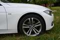BMW 320 Serie 3 F31 2012 Touring 320d Touring xdrive Sport Bianco - thumbnail 9