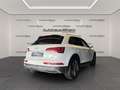 Audi Q5 40 TDI Quattro S line S-tr. AHK/VirtualCo/20Z Blanc - thumbnail 6