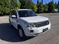 Land Rover Freelander Freelander 2.2 SD4 S.W. S Bianco - thumbnail 3
