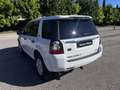 Land Rover Freelander Freelander 2.2 SD4 S.W. S Bianco - thumbnail 14