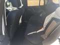 Land Rover Freelander Freelander 2.2 SD4 S.W. S Bianco - thumbnail 6