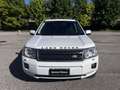 Land Rover Freelander Freelander 2.2 SD4 S.W. S Bianco - thumbnail 2