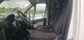 Fiat Ducato FIAT Pequeño 115cv Manual de 5 Puertas Blanco - thumbnail 10