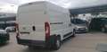 Fiat Ducato FIAT Pequeño 115cv Manual de 5 Puertas Blanco - thumbnail 6