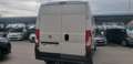 Fiat Ducato FIAT Pequeño 115cv Manual de 5 Puertas Blanco - thumbnail 7