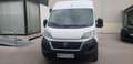 Fiat Ducato FIAT Pequeño 115cv Manual de 5 Puertas Blanco - thumbnail 1