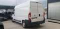 Fiat Ducato FIAT Pequeño 115cv Manual de 5 Puertas Blanco - thumbnail 8
