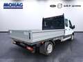 Ford Transit Pritsche 350 L3 2.0 TDCi  Fahrgestell Doppelkabine Alb - thumbnail 3