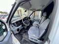 Ford Transit Kasten FT 260 K City Light*97.000 Km* Weiß - thumbnail 10