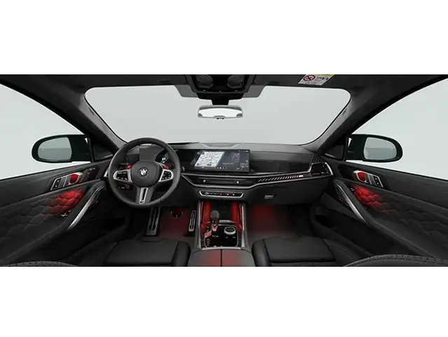 BMW X6 view 5