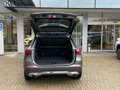 Mercedes-Benz GLA 200 Progressive Multibeam 360°-Kamera AHK Grau - thumbnail 15