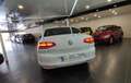 Volkswagen Passat 2.0TDI Advance DSG7 110kW Blanc - thumbnail 12