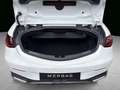 Mercedes-Benz CLE 450 4M Cabrio AMG Adv. Distr  Memory AIRCAP Weiß - thumbnail 5