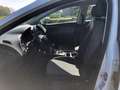 SEAT Leon 1.6 TDI 115 CV Style Bianco - thumbnail 12