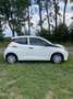 Toyota Aygo Aygo 1.0 VVT-i x-fun 5-Drs Airco cruise controle Wit - thumbnail 3