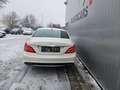 Mercedes-Benz CLS 350 CLS 350 CDI BE 4Matic AMG-LINE Weiß - thumbnail 5
