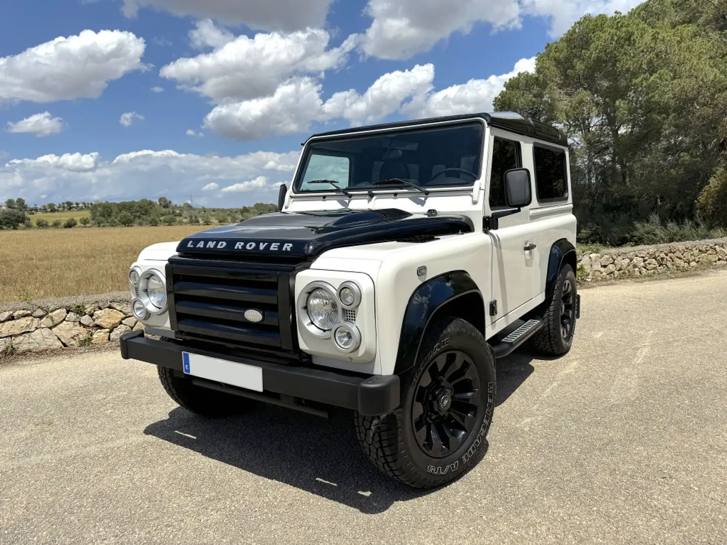 Land Rover Defender 90 SW Ice Wit - 1