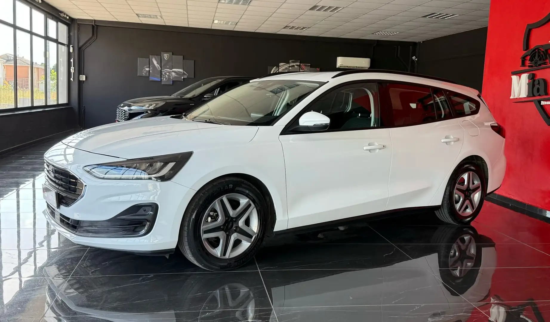Ford Focus 1.5 EcoBlue 120 CV automatico SW Business Bianco - 1