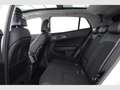Kia Sportage 1.6 T-GDi HEV 158kW (215CV) Tech 4x2 Blanco - thumbnail 15