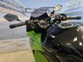 Kawasaki Z 1000 "Candy Lime Green" - thumbnail 21