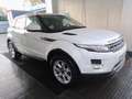 Land Rover Range Rover Evoque 2.2L TD4 Dynamic 4x4 - thumbnail 4
