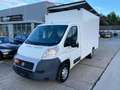 Fiat Ducato 35 2.3 MJT PM-TM  *HU/AU Neu Weiß - thumbnail 3