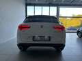 Alfa Romeo Stelvio 190CV AT8 Q4 MY'20 BUSINESS SPORT KM47000 FULL OPT Bianco - thumbnail 4