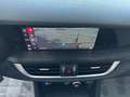 Alfa Romeo Stelvio 190CV AT8 Q4 MY'20 BUSINESS SPORT KM47000 FULL OPT Bianco - thumbnail 12