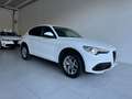 Alfa Romeo Stelvio 190CV AT8 Q4 MY'20 BUSINESS SPORT KM47000 FULL OPT Bianco - thumbnail 1
