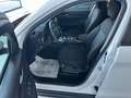Alfa Romeo Stelvio 190CV AT8 Q4 MY'20 BUSINESS SPORT KM47000 FULL OPT Bianco - thumbnail 6