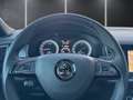 Skoda Kodiaq 2,0 TDI SCR Sportline DSG / 1.Hand Schwarz - thumbnail 16
