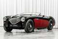 Austin-Healey 100 /4 BN1 LHD Le Mans Pack Matching Engine Schwarz - thumbnail 3