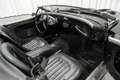 Austin-Healey 100 /4 BN1 LHD Le Mans Pack Matching Engine Schwarz - thumbnail 15