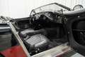 Austin-Healey 100 /4 BN1 LHD Le Mans Pack Matching Engine Schwarz - thumbnail 16