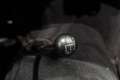 Austin-Healey 100 /4 BN1 LHD Le Mans Pack Matching Engine Schwarz - thumbnail 24