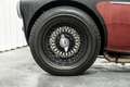 Austin-Healey 100 /4 BN1 LHD Le Mans Pack Matching Engine Schwarz - thumbnail 48