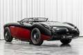 Austin-Healey 100 /4 BN1 LHD Le Mans Pack Matching Engine Schwarz - thumbnail 10
