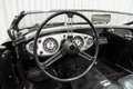 Austin-Healey 100 /4 BN1 LHD Le Mans Pack Matching Engine Schwarz - thumbnail 17