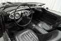 Austin-Healey 100 /4 BN1 LHD Le Mans Pack Matching Engine Schwarz - thumbnail 13