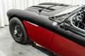 Austin-Healey 100 /4 BN1 LHD Le Mans Pack Matching Engine Schwarz - thumbnail 39