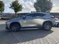 Lexus NX 450h+ AWD Luxury Line STOELVERW STUURVERW LEDER PARKSENS Grijs - thumbnail 6