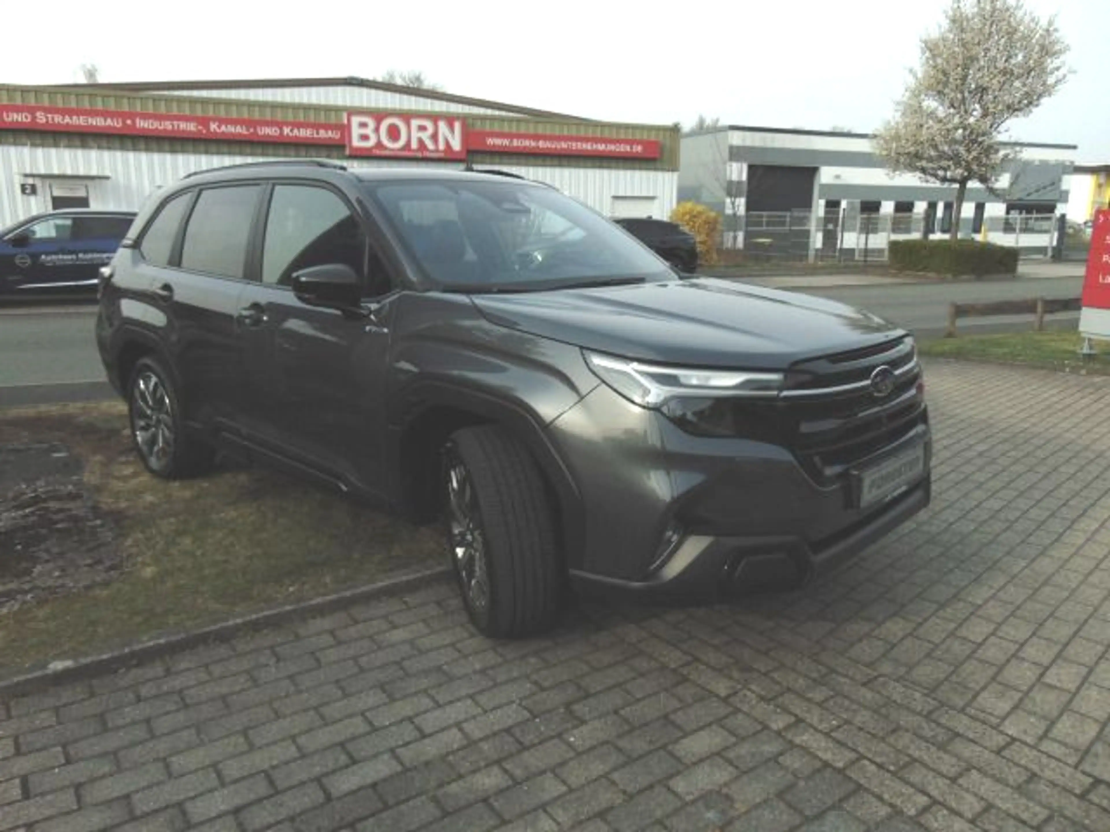 Subaru Forester 2.0 ie Platinum Leder Navi PGSD 360° — photo 2