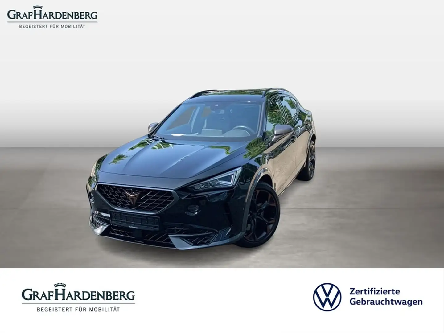 CUPRA Formentor VZ 4Drive 2.0 TSI DSG AHK TopView Schwarz - 1