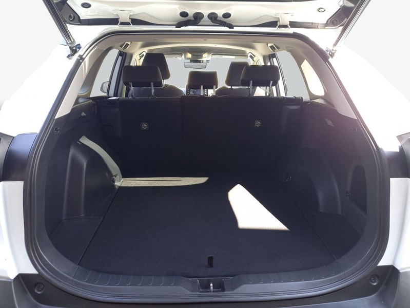 Toyota RAV 4 2.5 4x2 Hybrid Team Deutschland — photo 4