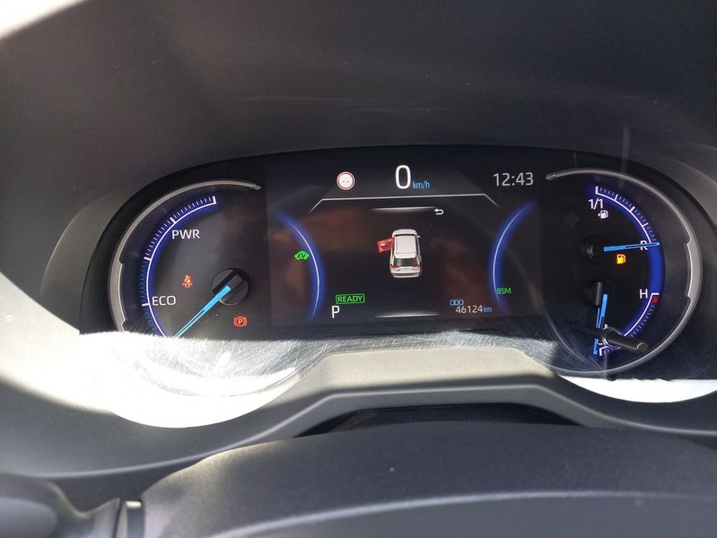 Toyota RAV 4 2.5 4x2 Hybrid Team Deutschland — photo 9