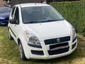 Suzuki Splash Splash 1.0 Basic Blanc - thumbnail 1