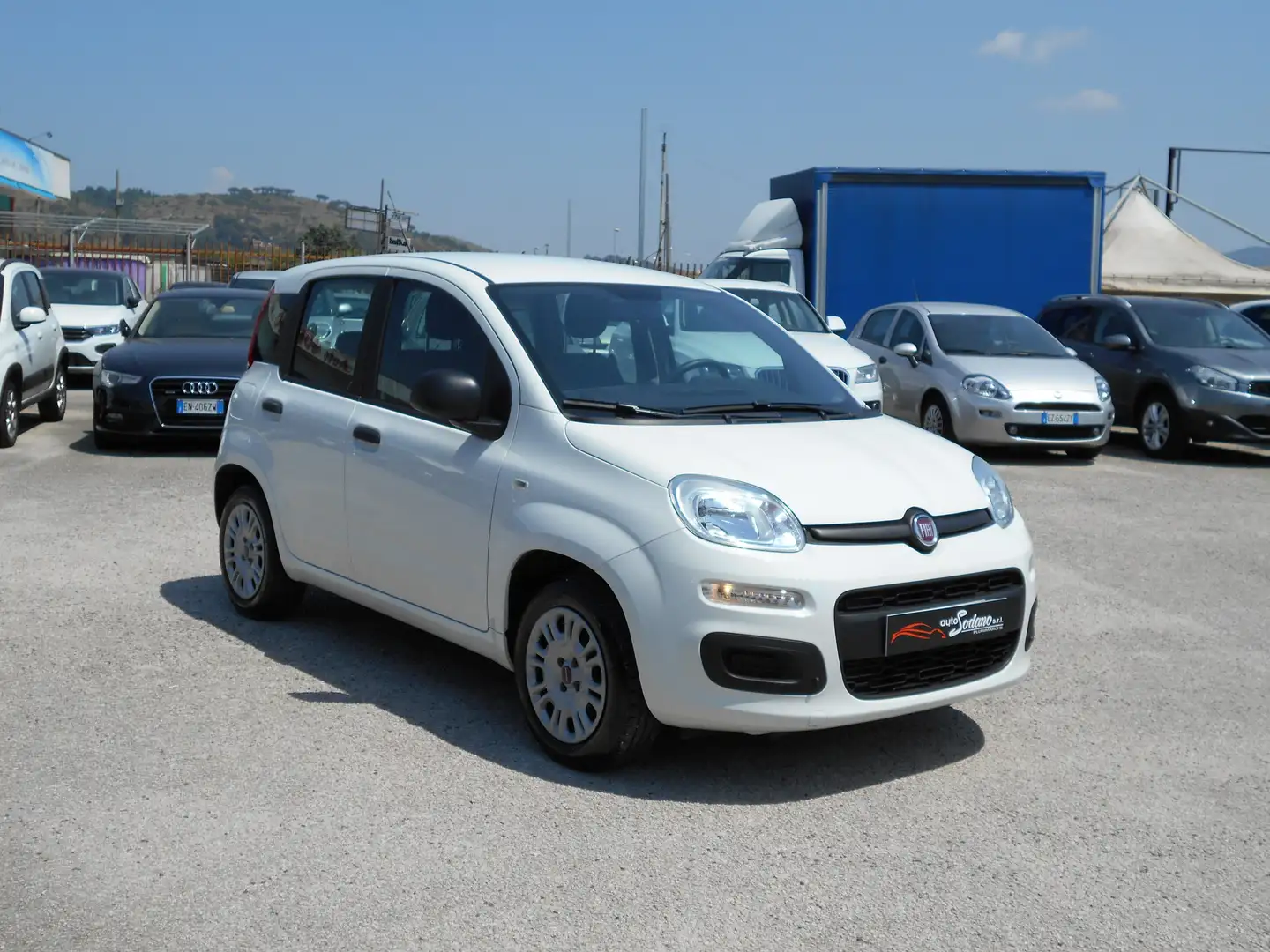 Fiat Panda Panda 1.2 Easy s Bianco - 2